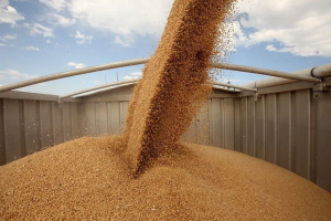 Россия расширяет географию поставок зерна