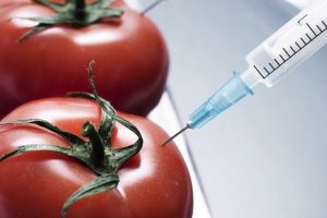 Маркировка ГМО-продукции стала обязательной