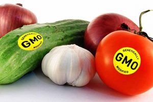Знак ГМО в маркировке товаров станет крупнее
